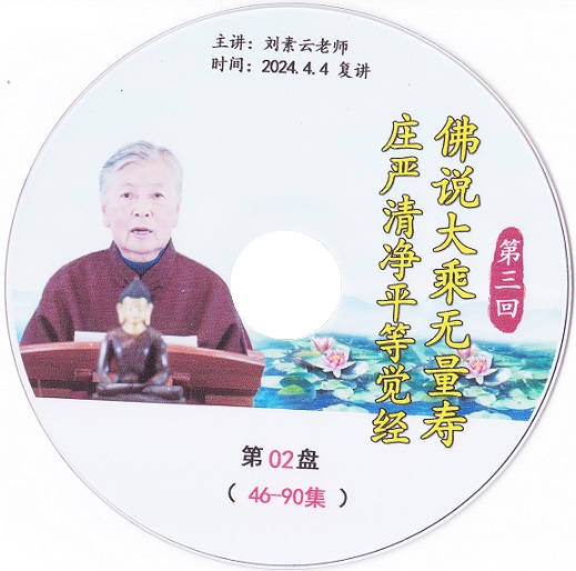佛说 大乘无量寿经 第三回 圆满90集  刘素云居士