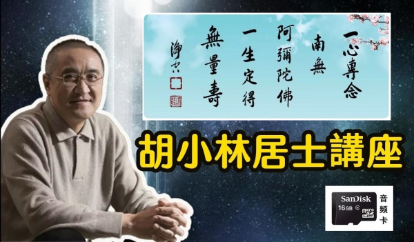 胡小林老师 合辑 4GB