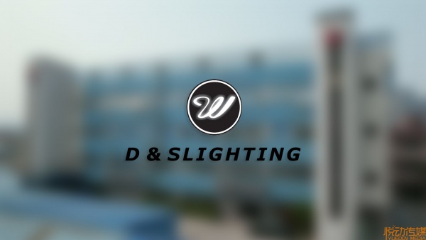 勤智电子D&S Lighting