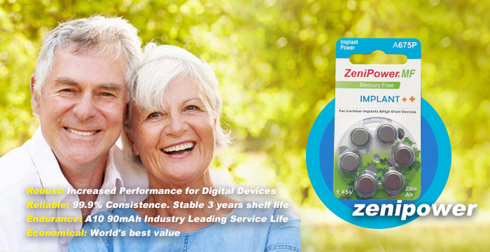 ZeniPower (Zhuhai Zhi Li) Battery Co., Ltd. ZeniPower (Zhuhai Zhi Li) Battery Co., Ltd.