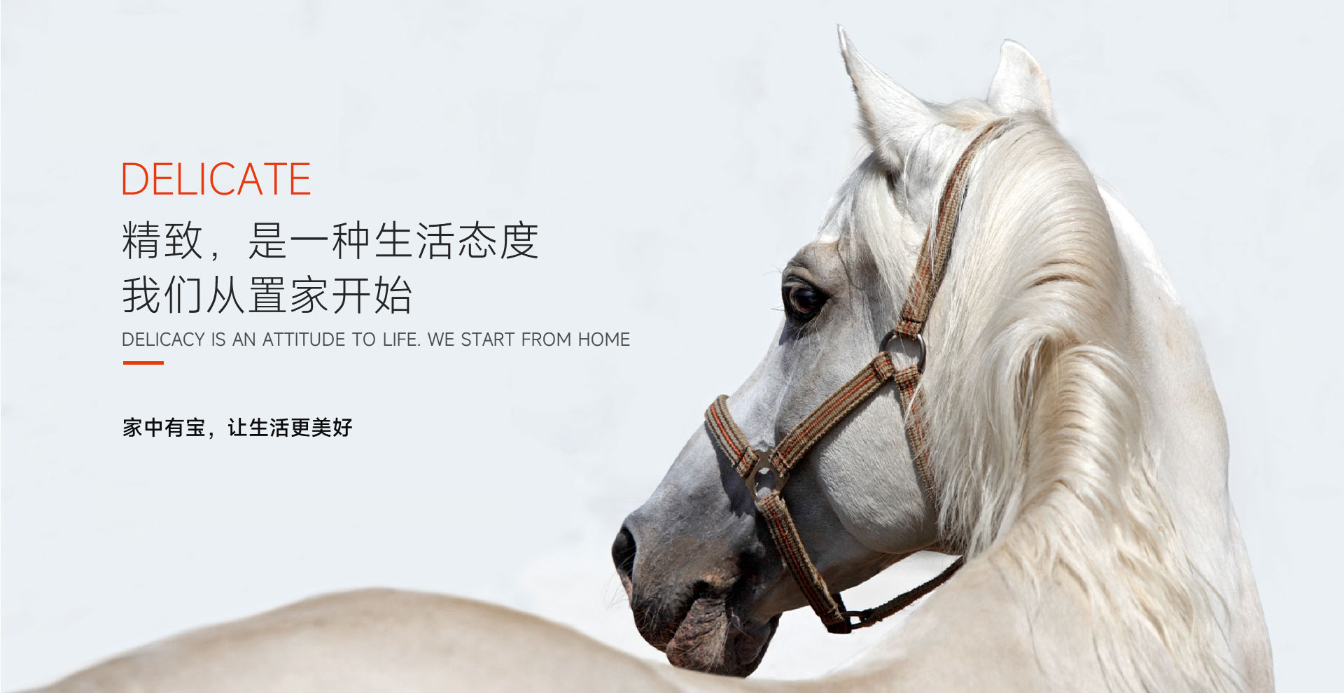 大奖国际·18dj18(中国)官方网站