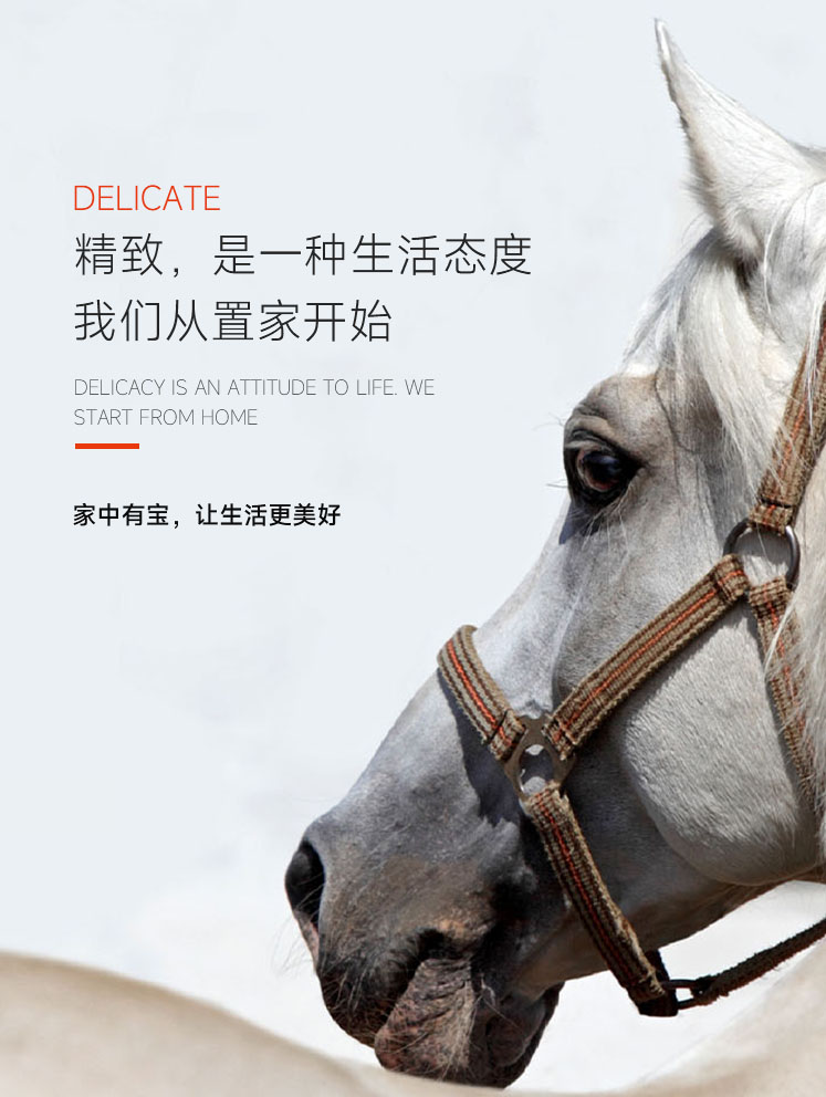 大奖国际·18dj18(中国)官方网站