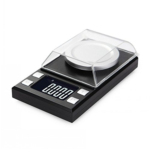 D8028 Karat Scale