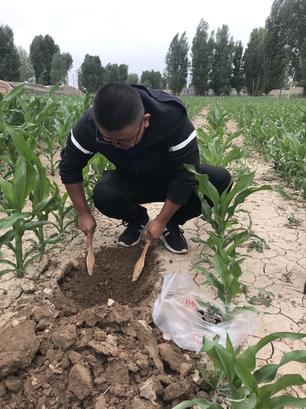 农村土壤环境质量调查采样