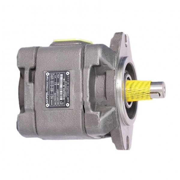 海特克美国SUNNY齿轮泵HG22-160-100-01R-VPC齿轮泵油压机伺服泵